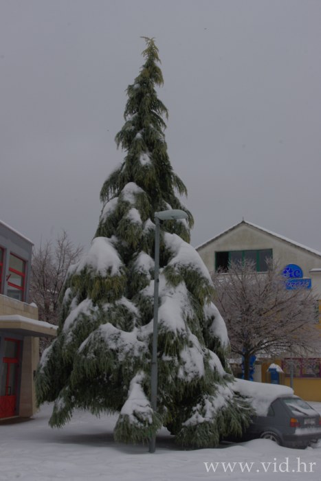 Metkovic (12)